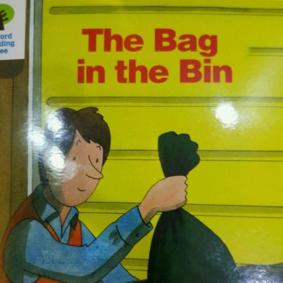 the bag in the bin