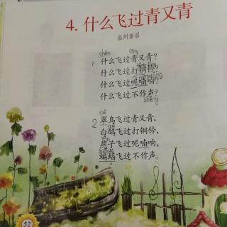 背诵《什么飞过青又青》