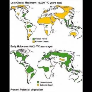 DI 47 the vegetation coverage across the world