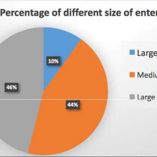 DI 7 the percentage of different sized enterprises
