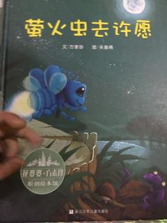 萤火虫去许愿（王羿丹）