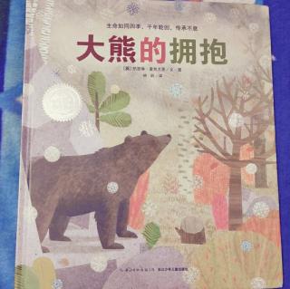 ⭕👼大熊的拥抱🐻