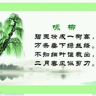 《咏柳》(唐)贺知章