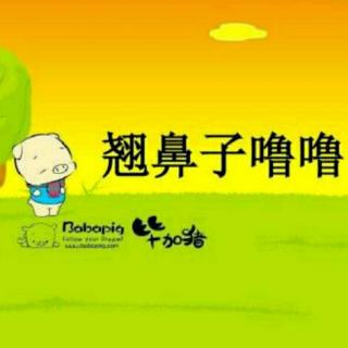 翘鼻子噜噜