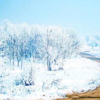 《初雪》