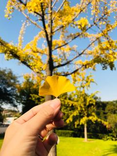 生命之书．三月六日