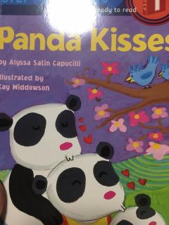 Panda Kisses