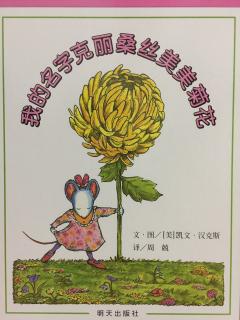 我的名字克丽桑丝美美菊花