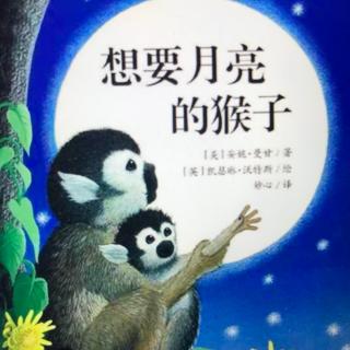 “晚安故事汇”——《想要月亮的猴子》