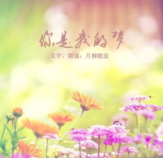 原创诗歌《你是我的梦》文字、朗诵：柳月