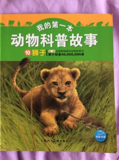 动物科普故事之《狮子》