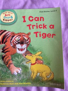 I Can Trick a Tiger