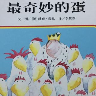 最奇妙的蛋🐔🥚