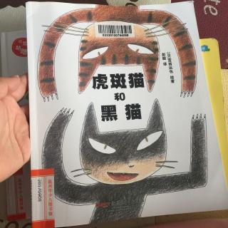 虎斑猫和黑猫