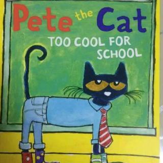 Pete the Cat too cool for school双语解读