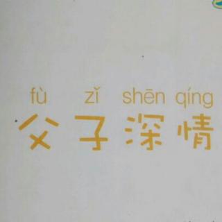 《父子深情》