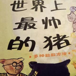 数学绘本故事《世界上最帅的猪🐷》