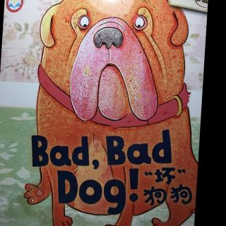 Bad，Bad Dog🐶