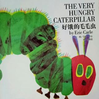 the very hungry caterpillar