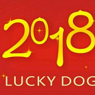 《友谊天长地久》告别2017，拥抱2018🌹