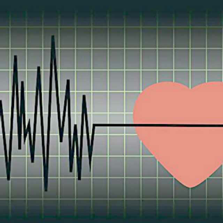 【My Heartbeat】 一首关于心电图旋律的歌曲.