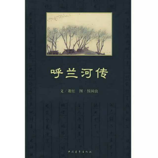 《呼兰河传》第一章   第一节（2）东西二道街、十字街