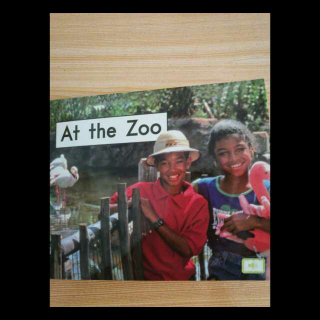 20.海13  At the Zoo