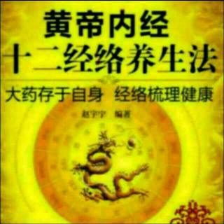 穴位经络祛病法~经外奇穴