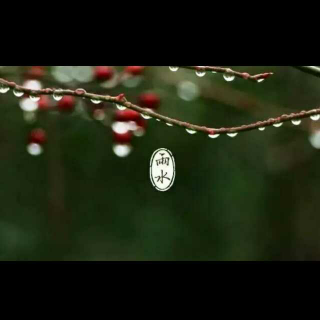 微话节气.雨水