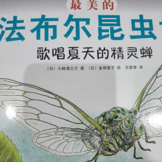 昆虫记《歌唱夏天的精灵蝉》