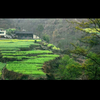 雨意小凉山（雨晓荷）