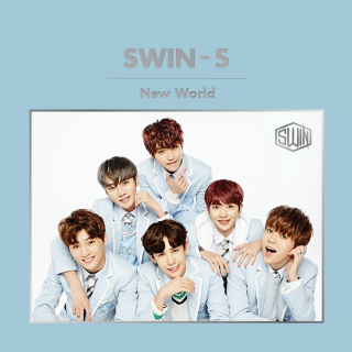 New Word――SWIN-S