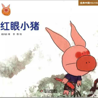 🐷红眼小猪🐷