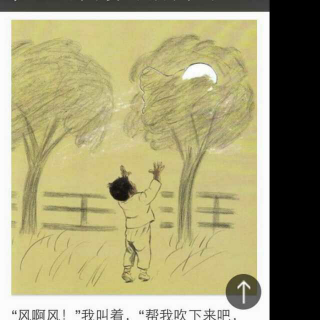 风喜欢和我玩