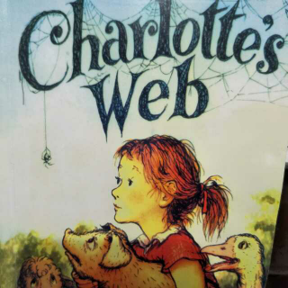 charlotte's web 6-1