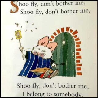 shoo fly  don't bother me