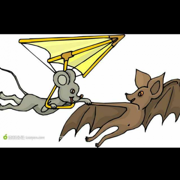 老鼠和蝙蝠