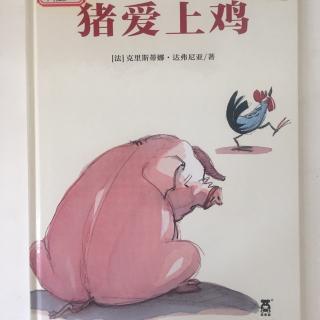 猪🐷爱上鸡🐔