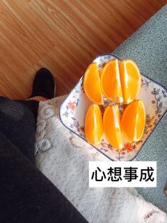 火鸡先生和鹅太太