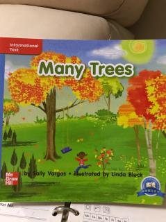 分级读物～Many Trees