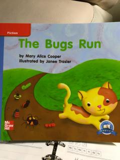 分级读物～The Bugs Run