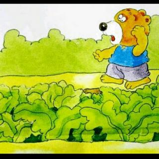小傻熊种萝卜绘本图片