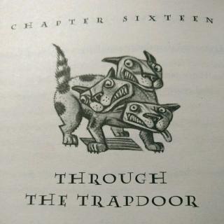 Through  the  Trapdoor （3）