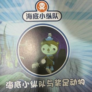 海底小纵队与桨足动物图片