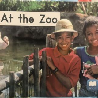 At the Zoo