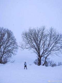 掌心化雪