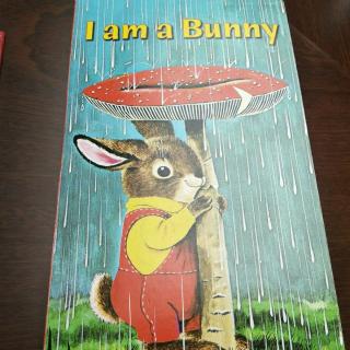 ［I am a Bunny］🐰――全英版