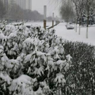 《雪花的快乐》