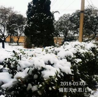 李佳伦《雪中浪》诵读/天水若儿