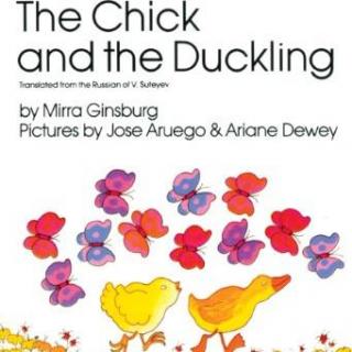 【Julia美语】双语版-小鸡和小鸭 The Chick and the Duckling